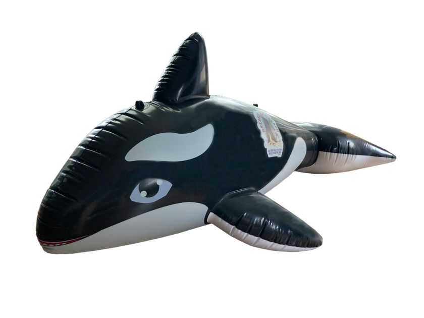 EBV 2024 Inflable Orca Gigante (Giant Orca)