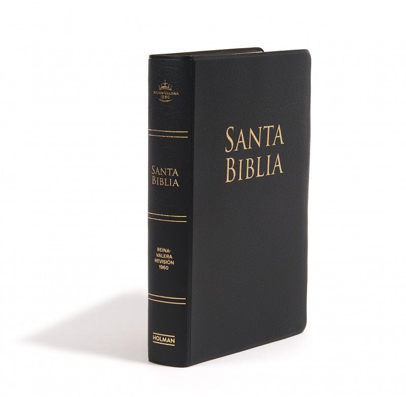 Biblia RVR60 LGrande 12 puntos vinyl
