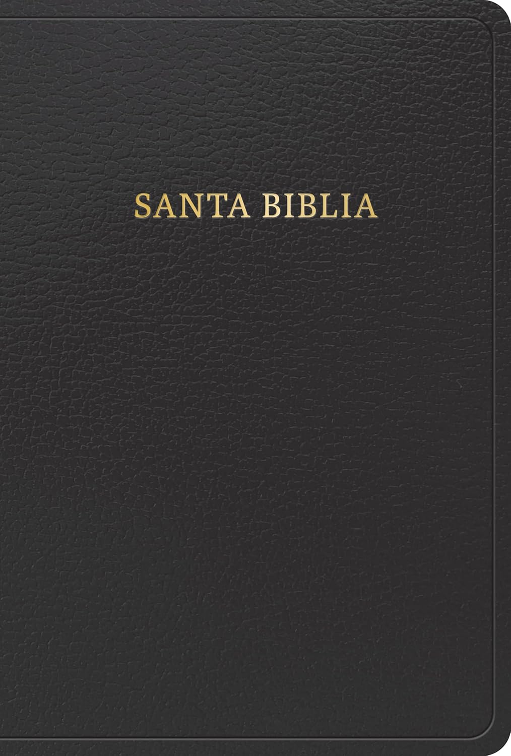 Biblia RVR60 Letra Grande Manual Imit Negra