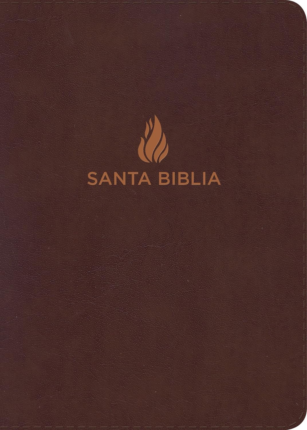 Biblia RVR60 Compacta LGrande Piel Fabricada Indice (variedad)