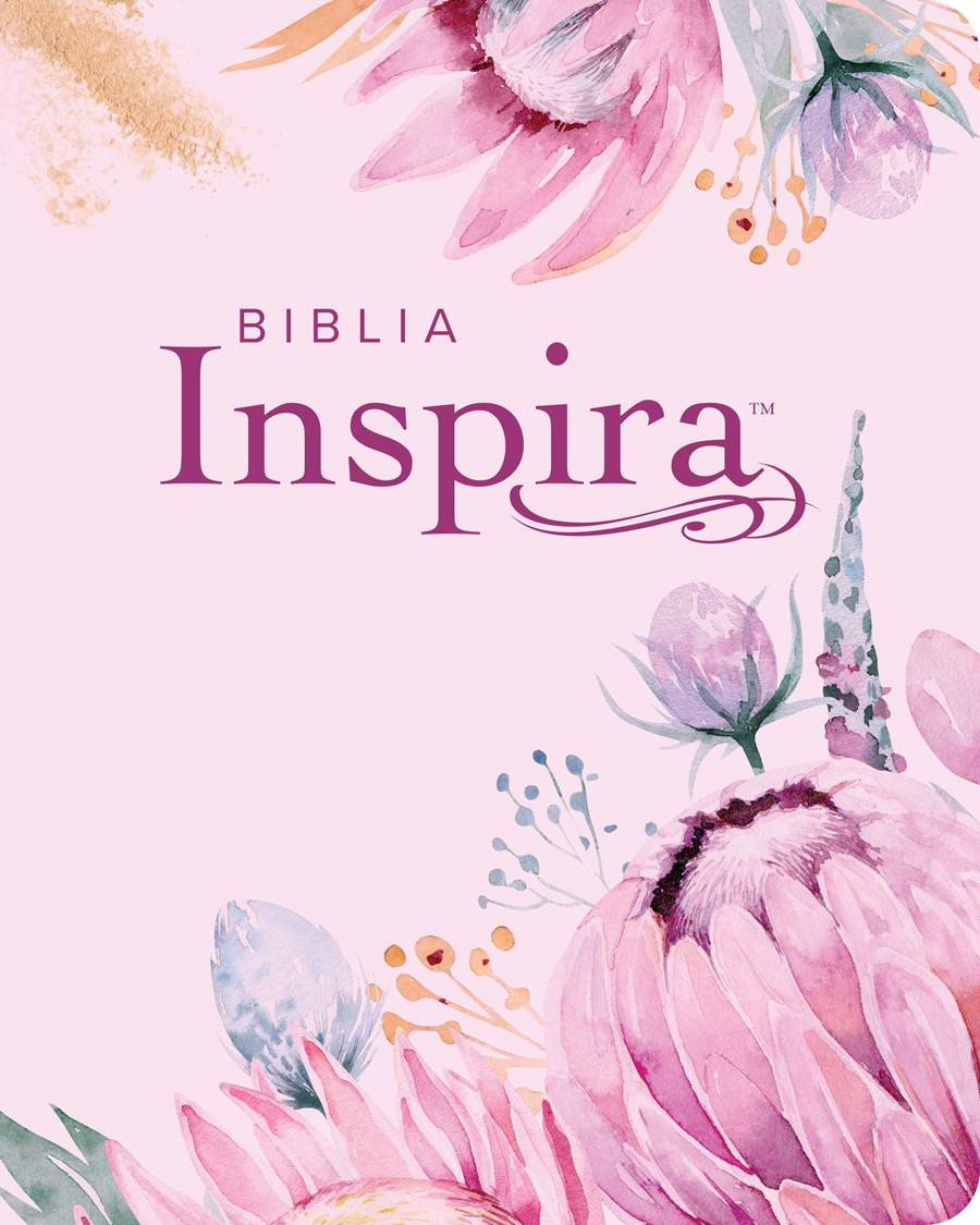 Biblia Inspira NTV LG