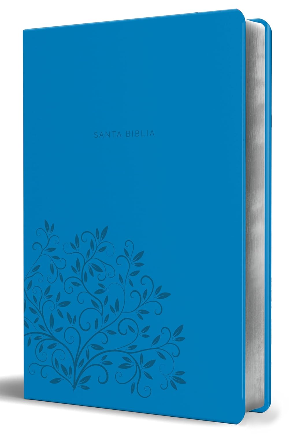 Biblia RVR60 Ultrafina Manual LG 10.5pts Tierra Santa