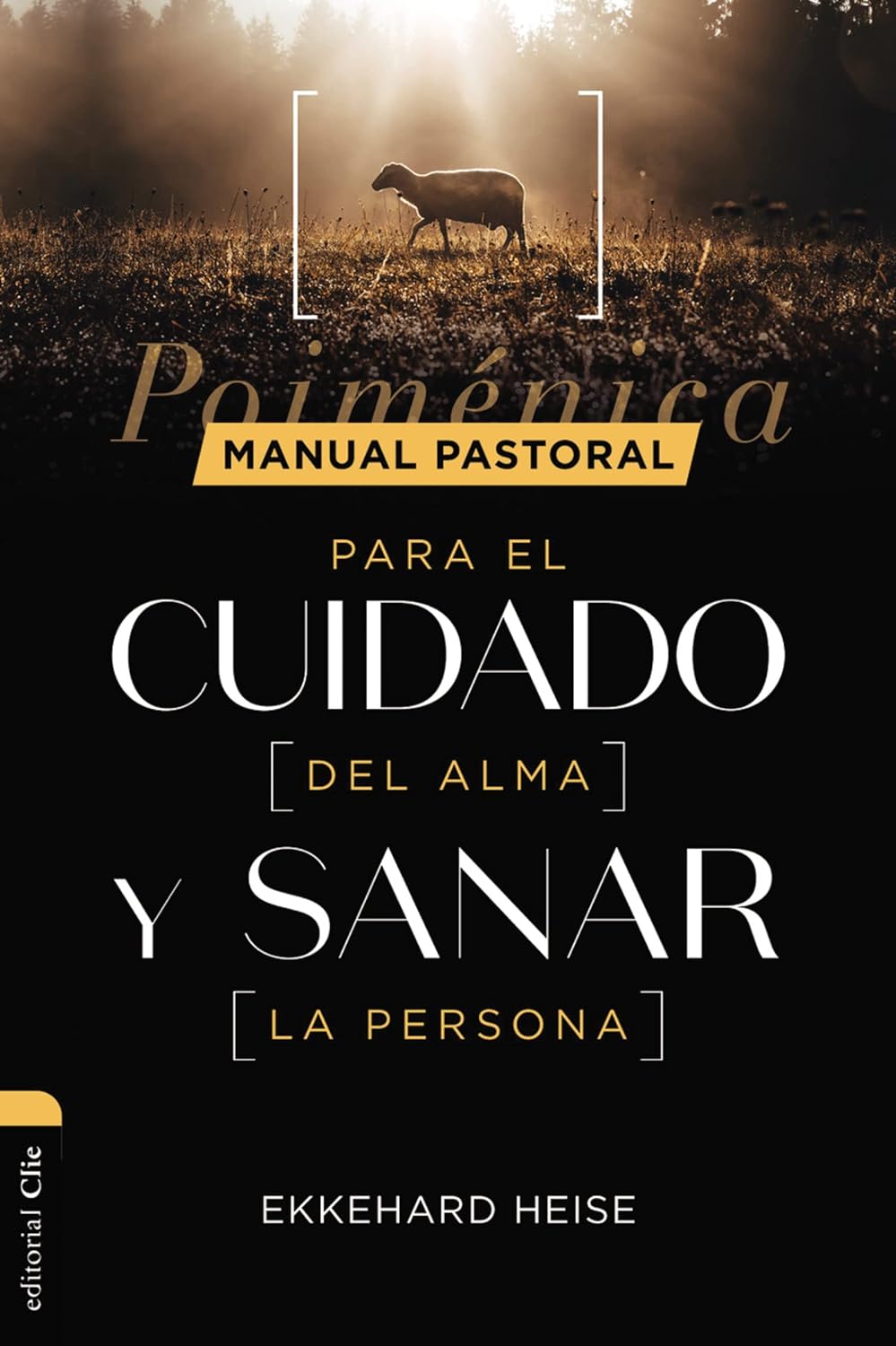 Manual Pastoral para el cuidado del alma y sanar