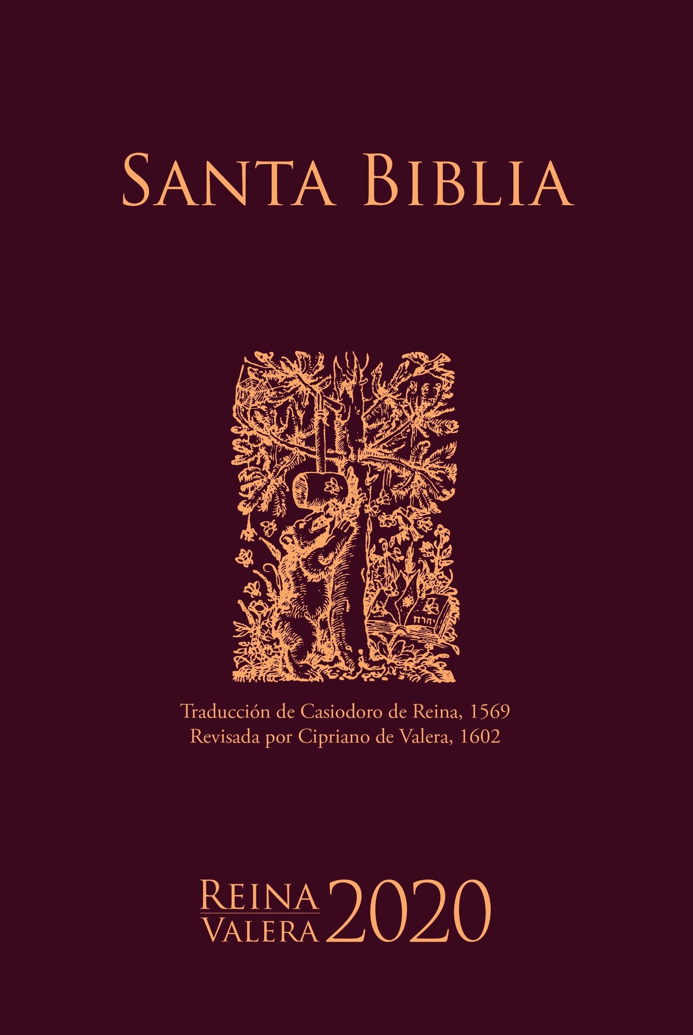 Biblia RVR 2020 Rústica Oso