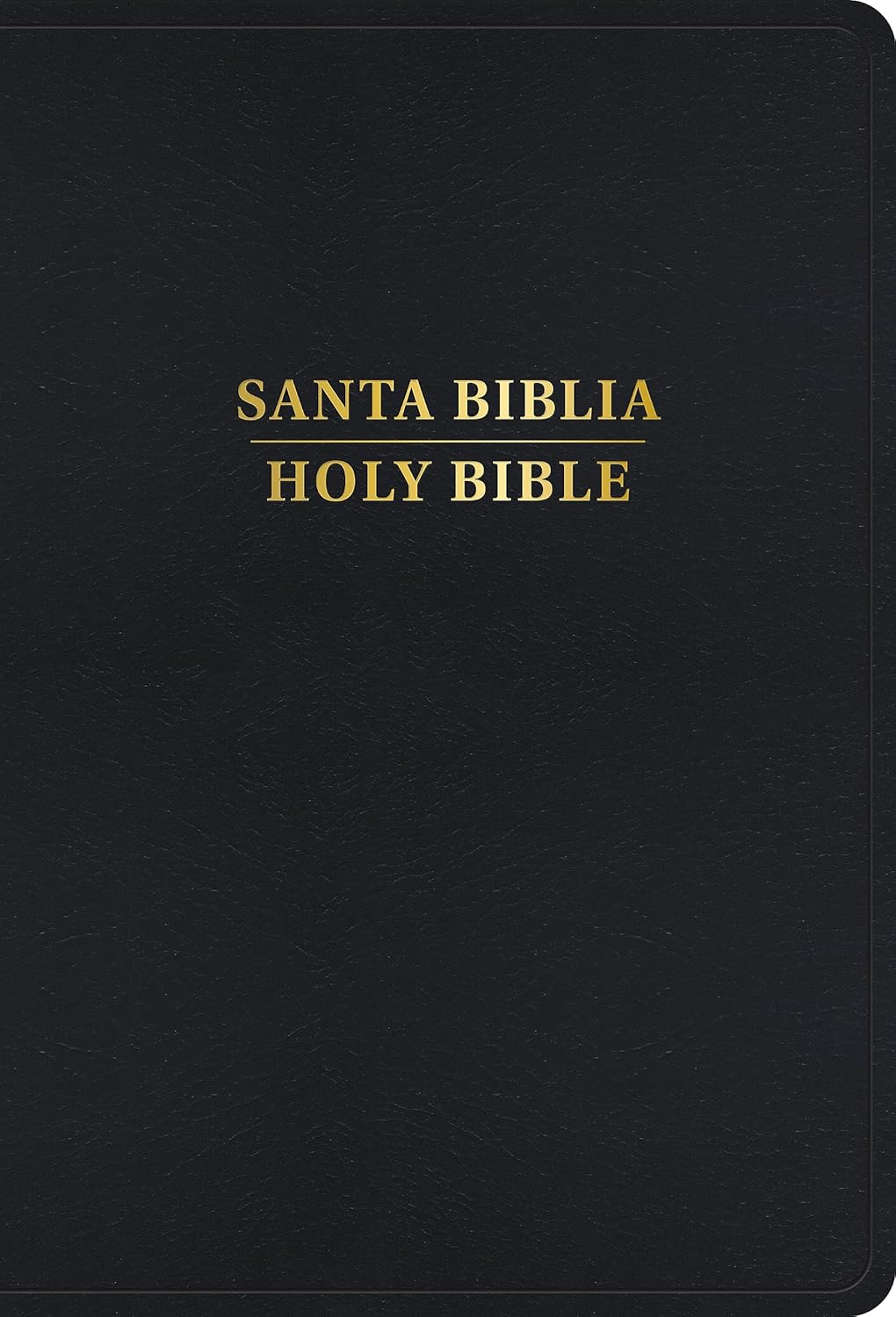 Biblia Biblingue RVR60/KJV Letra Grande Imit Piel