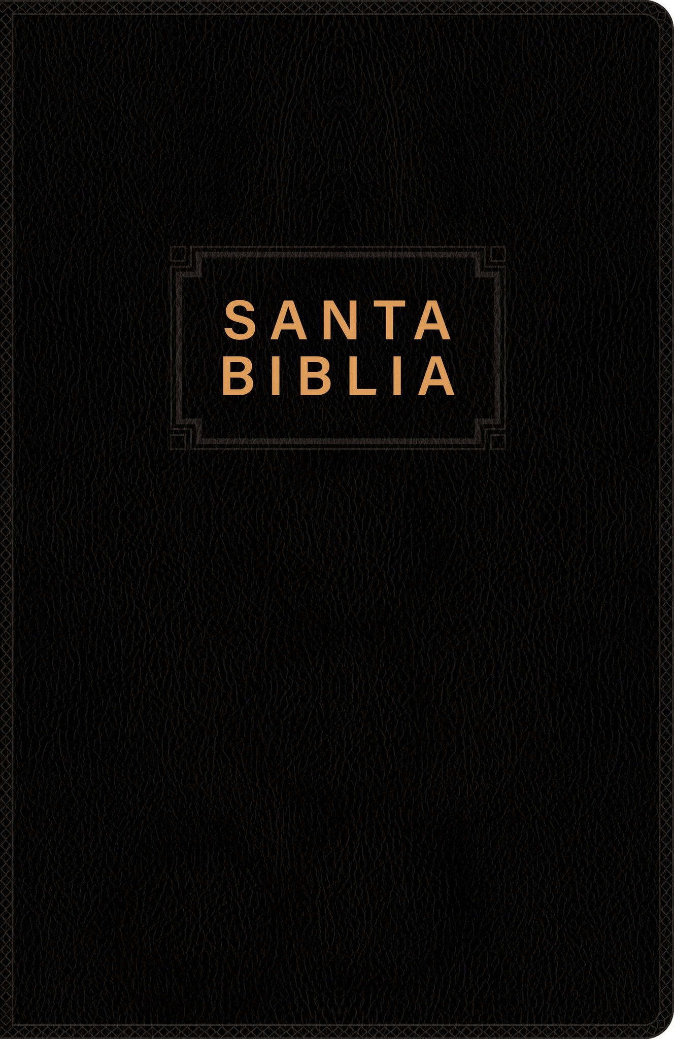 Biblia NTV Premios y Regalos