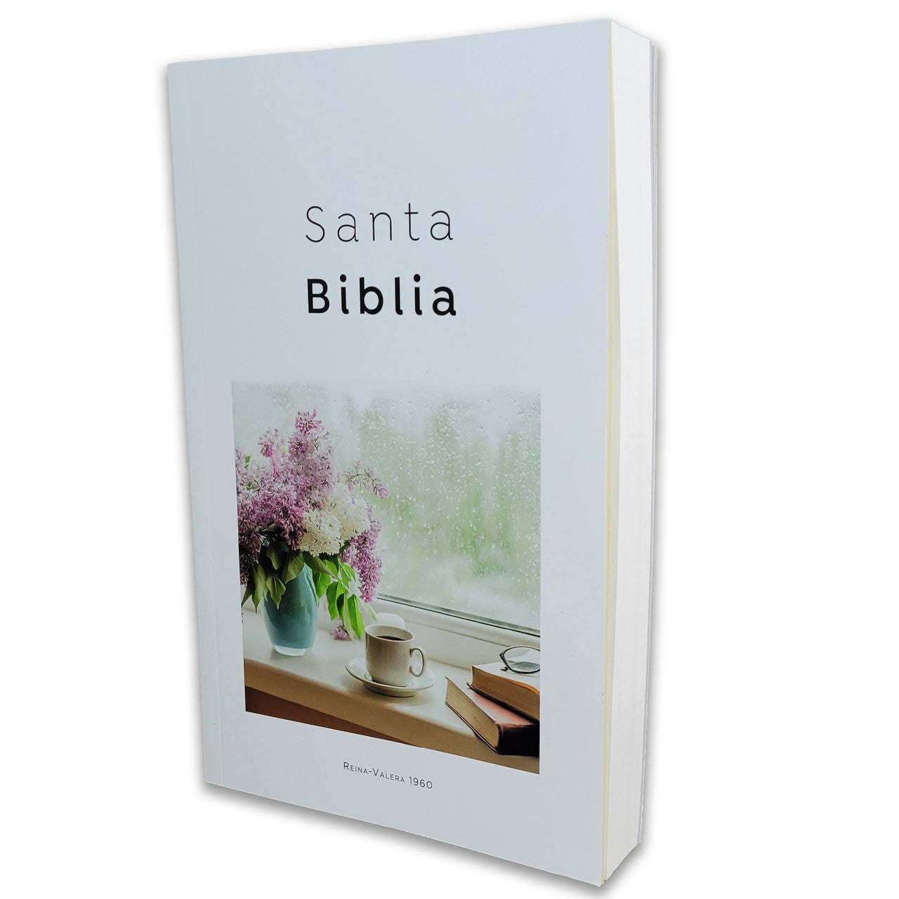Biblia RVR60 060ECO ABBA Rústica