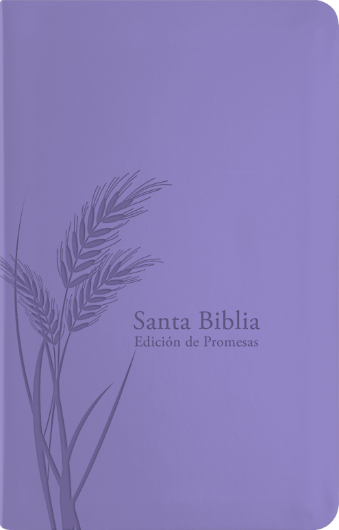 Biblia de Promesas  RVR60 Tamaño Manual Letra Grande