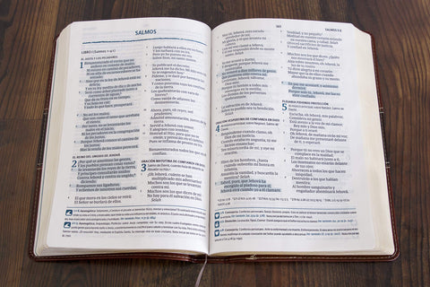 Biblia del Pescador RVR60 Letra Grande, Símil Piel