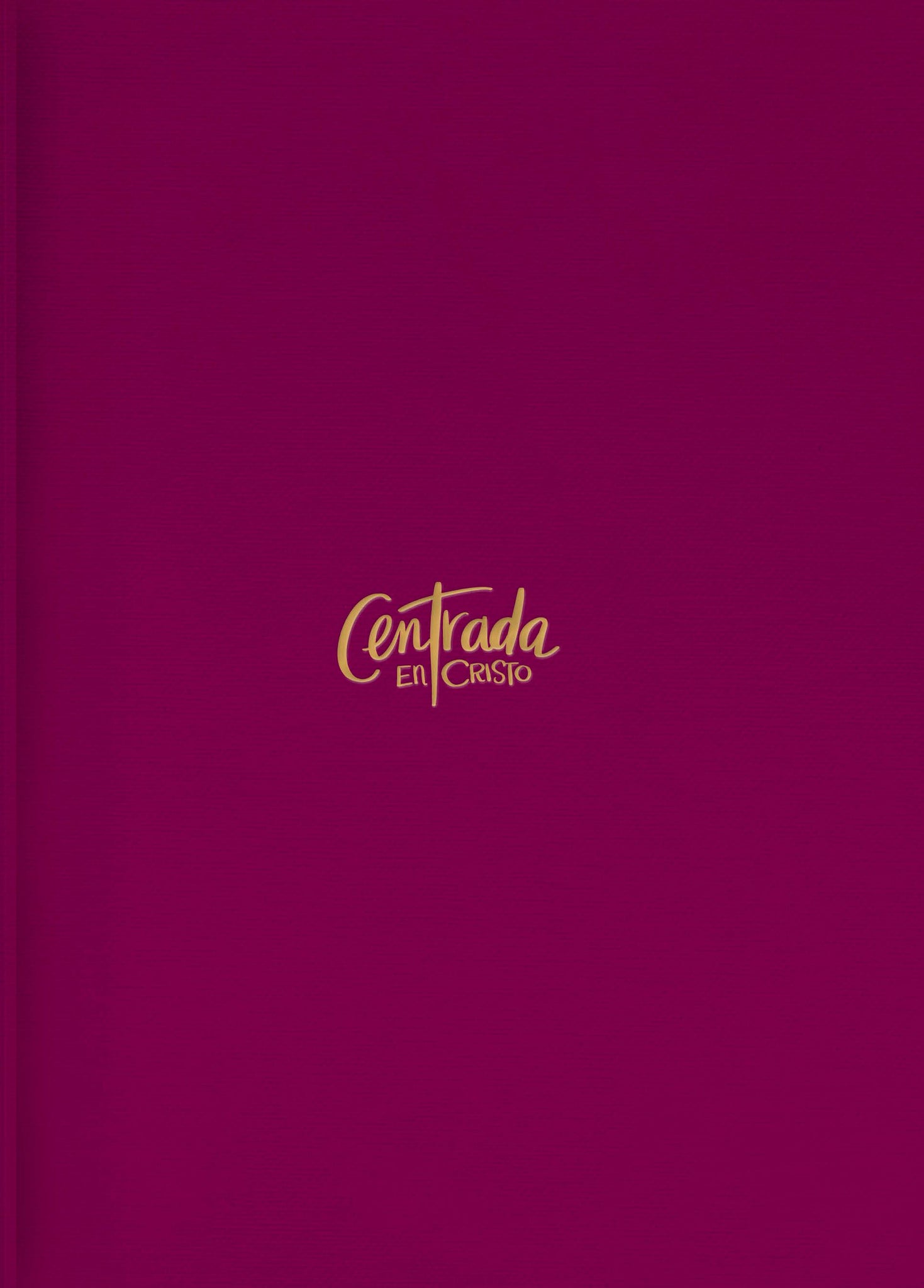 Biblia RVR60 Devocional Centrada en Cristo