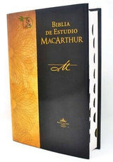 Medios 2